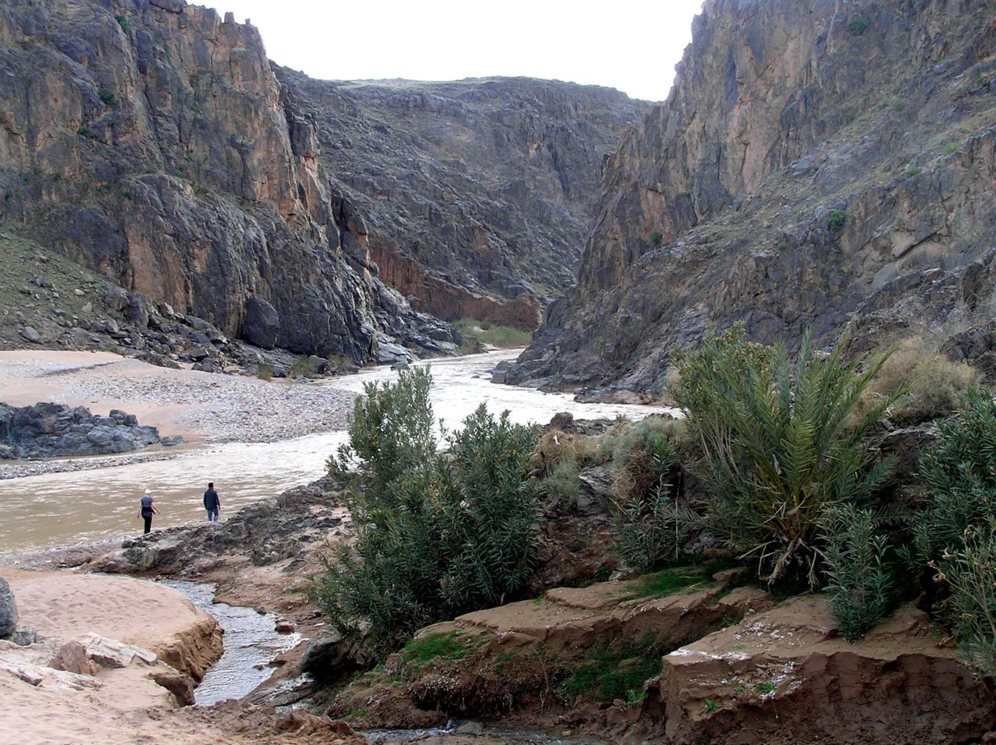 Kasbah Dar Bahnini Hostel Skoura Buitenkant foto